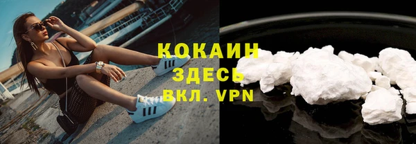 гидра Семёнов