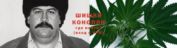 эйфоретик Абинск