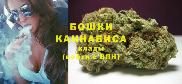 ПСИЛОЦИБИНОВЫЕ ГРИБЫ Абаза