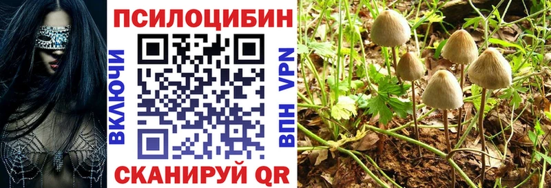 Галлюциногенные грибы прущие грибы Адыгейск